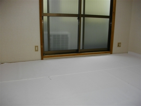 Living and room. Living