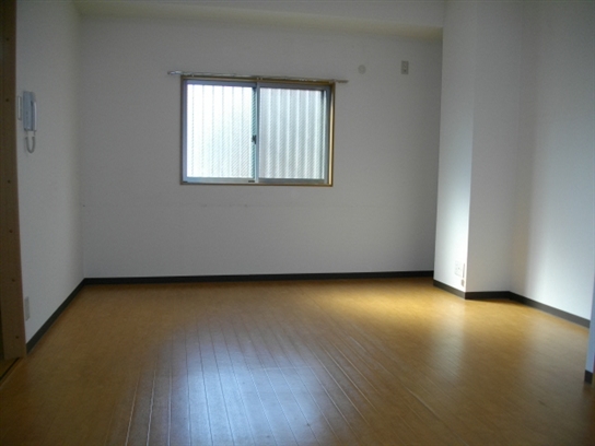 Living and room. Living