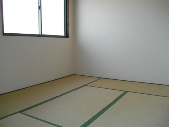 Living and room. Living