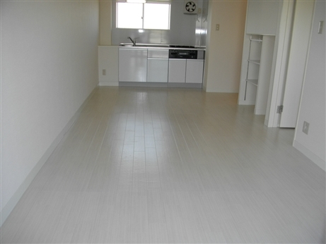 Living and room. Living