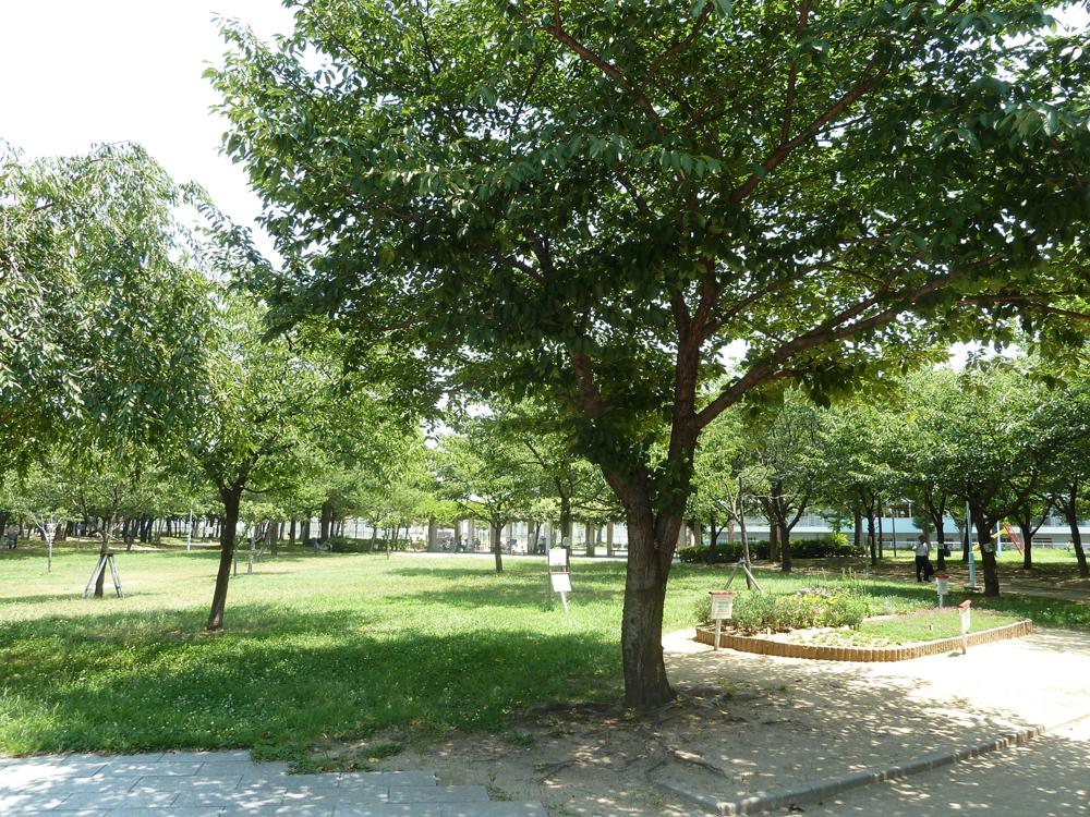 park. 240m Kobayashi park until Kobayashi park