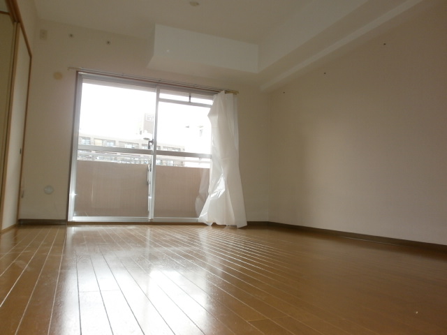 Living and room. Living