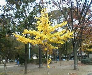 park. 1171m to Izuo park