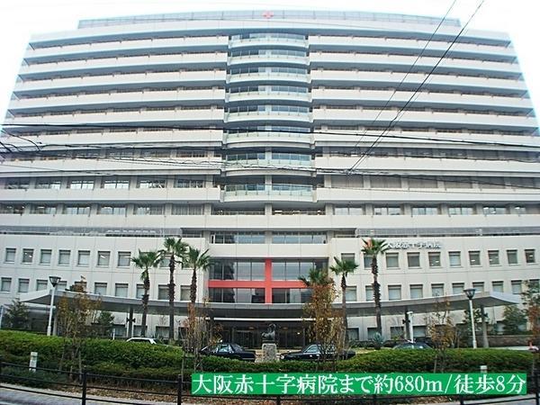Other. Osaka Red Cross Hospital