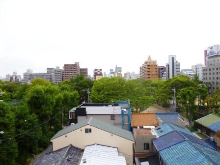 View photos from the dwelling unit. Is the view from the rooftop.