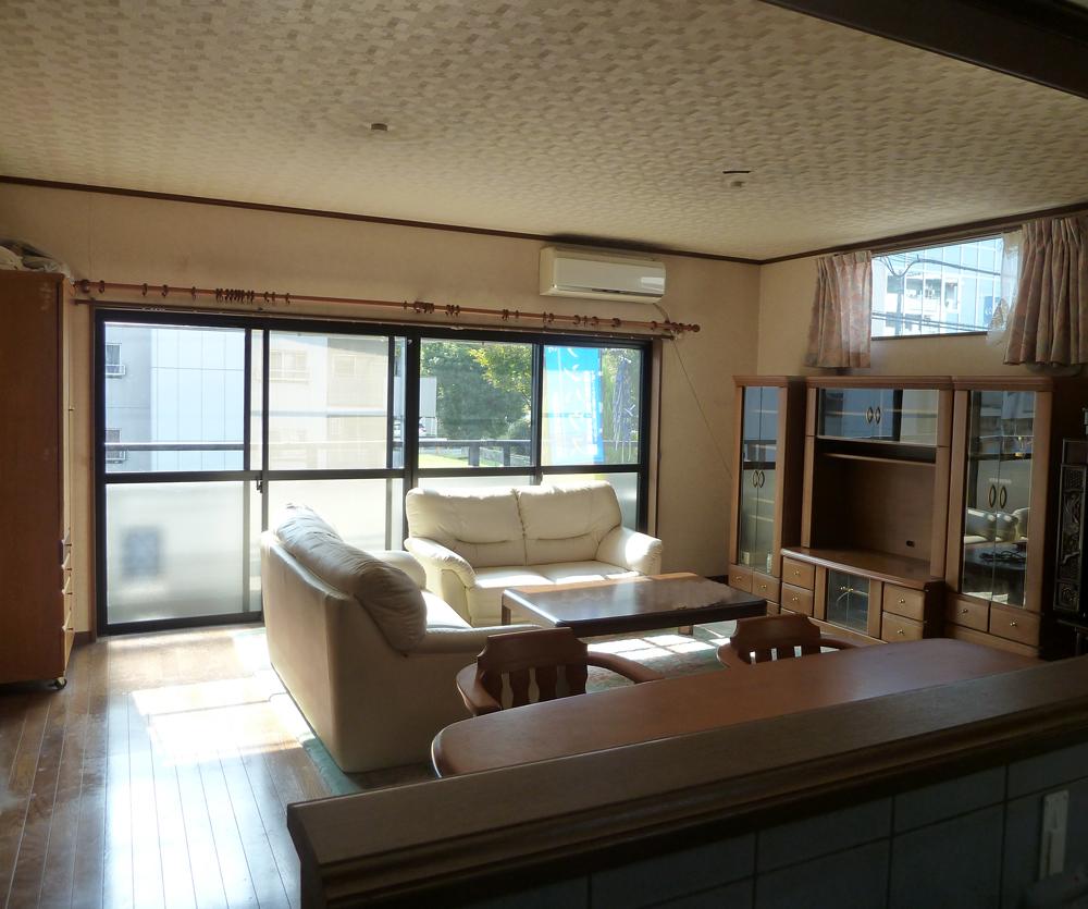 Living. December 2013 local shooting