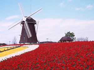 park. Until Flora 2004 Memorial Park Tsurumi Ryokuchi 1700m Flora 2004 Memorial Park Tsurumi Ryokuchi