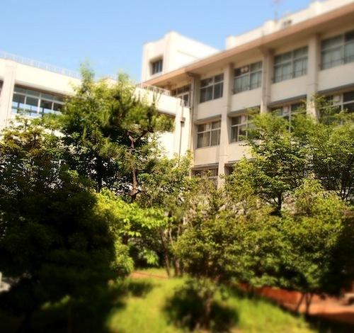 high school ・ College. Osaka Prefectural Ibarata until high school 485m