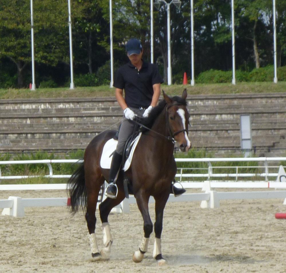 Other. Ouma's also seen. There is horseback riding classroom holiday limited (general of the person Available)