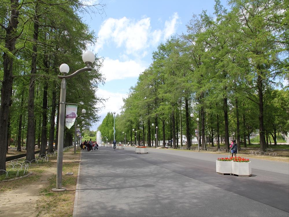 Tsurumi Ryokuchi Near from local parkland, Jogging and sports facilities are also comprehensive park.