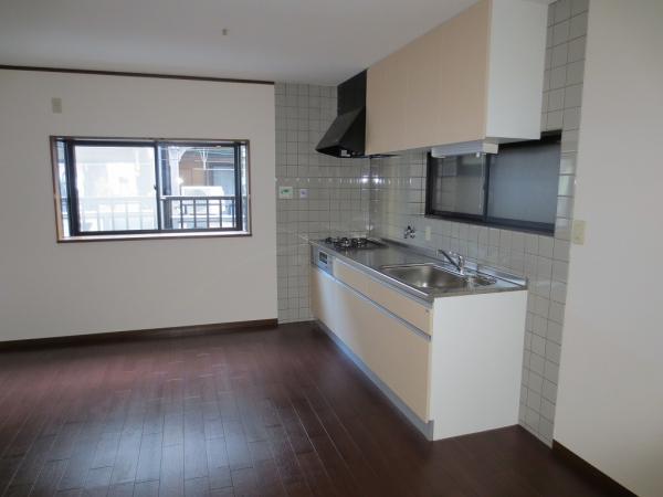 Kitchen. System kitchen new