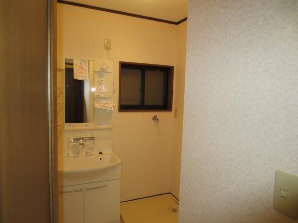 Wash basin, toilet. Vanity is a new article