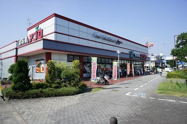 Other. Your new life, Do not start from this earth