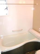 Bathroom. Yamaha system bus with a mist sauna