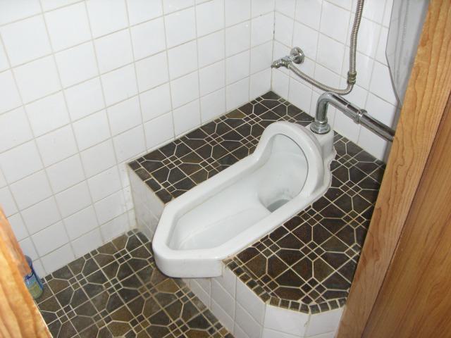 Toilet. Indoor (September 2013) Shooting