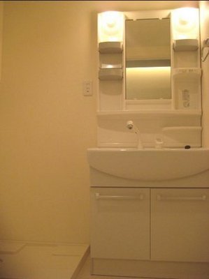 Washroom. This basin!