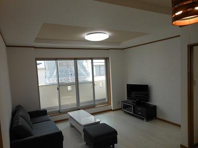 Same specifications photos (living)