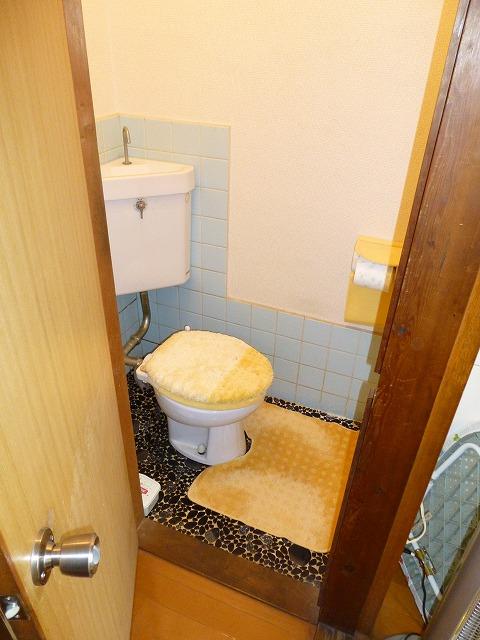 Toilet. Indoor (12 May 2013) Shooting