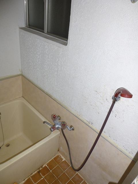 Bathroom. Indoor (12 May 2013) Shooting