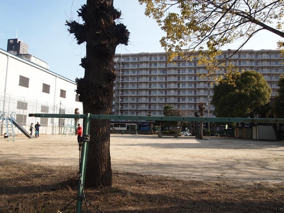 park. 100m to the park