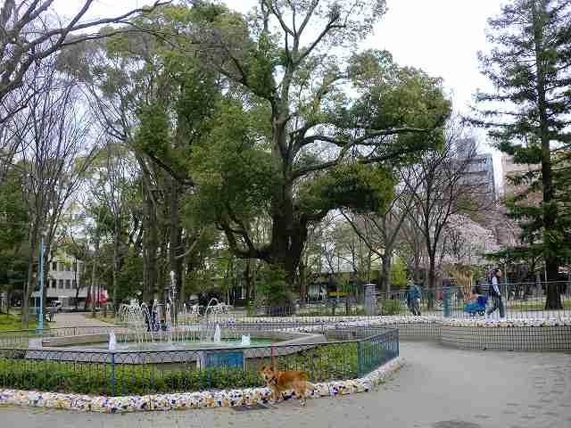 park. Ten 517m until the third park