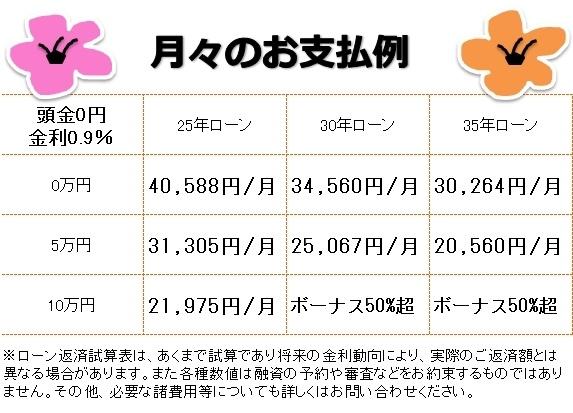 Local appearance photo. Payment Example