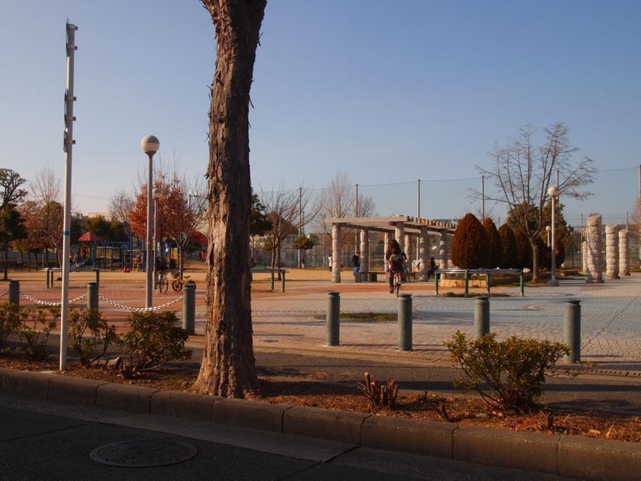 park. New high until the Central Park 994m