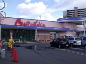 Other. It is a neighborhood of super. Marunaka's