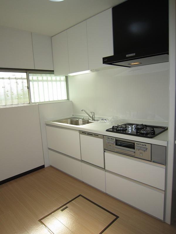 Kitchen. Indoor (11 May 2013) Shooting