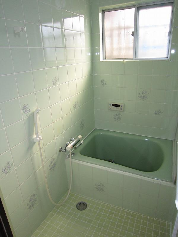 Bathroom. Indoor (11 May 2013) Shooting