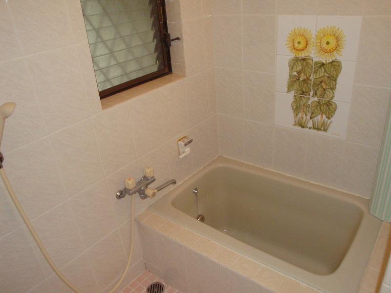 Bathroom. Indoor (11 May 2013) Shooting