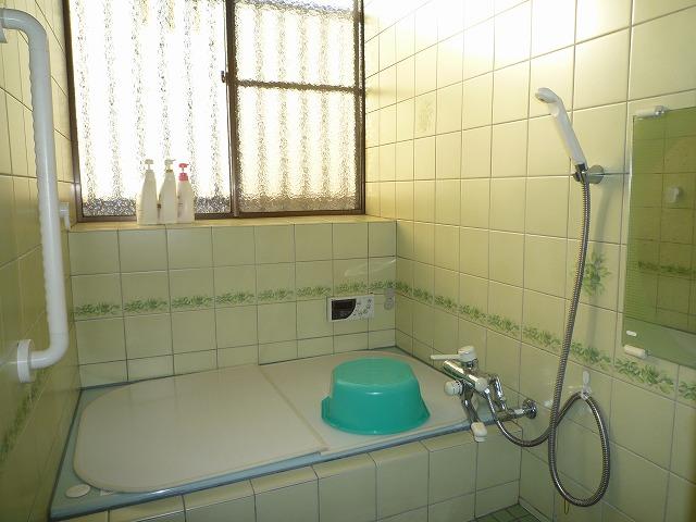 Bathroom. Indoor (12 May 2013) Shooting