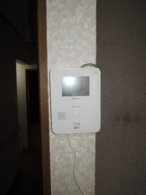 Other introspection. Intercom is with a camera. 