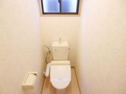 Toilet. Indoor shooting