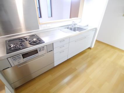 Kitchen. Indoor shooting