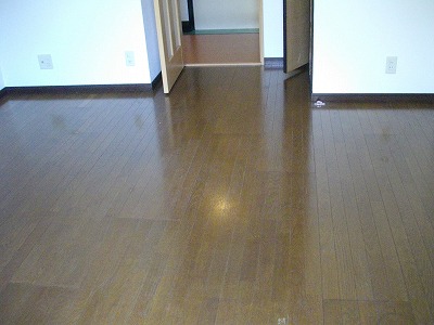 Living and room. Western-style (flooring)