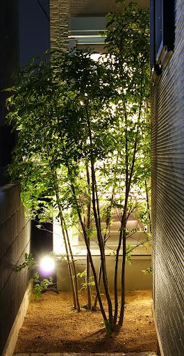 Other local. patio indirect lighting