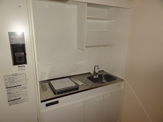 Kitchen. IH cooking heater with kitchen