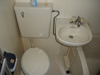 Toilet. Toilet