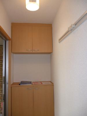 Entrance. Shoes BOX