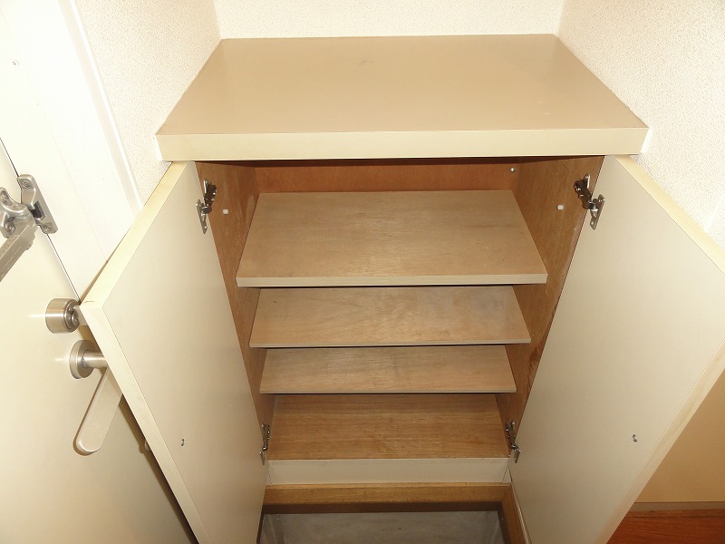 Entrance. Entrance shoes BOX