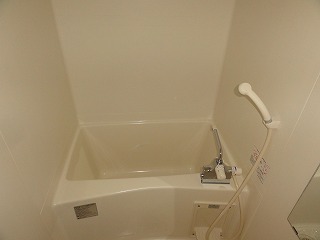 Bath. Bathroom (by bus toilet)