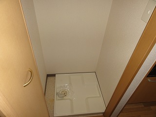 Other room space. Indoor laundry Storage
