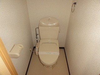 Toilet. Toilet (by bus toilet)
