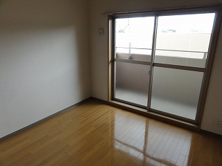 Living and room. Western-style (flooring)