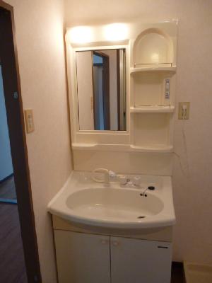 Washroom. Separate vanity ・ Indoor Laundry Storage