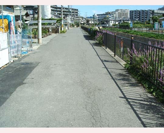 Local photos, including front road. Local (10 May 2013) Shooting