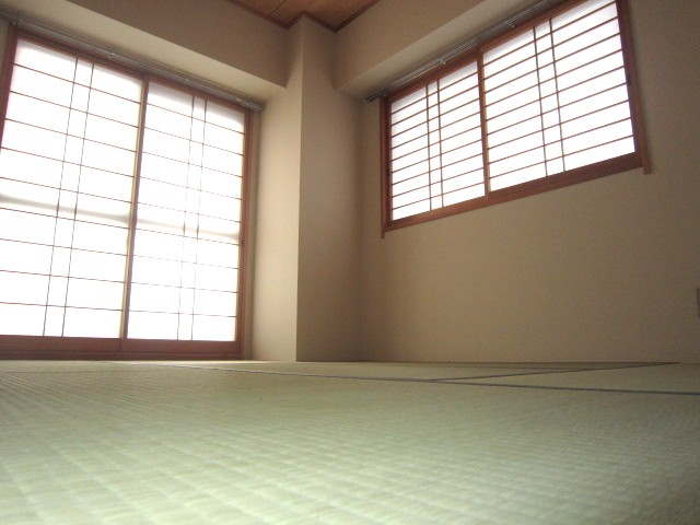 Other room space. Japanese style room