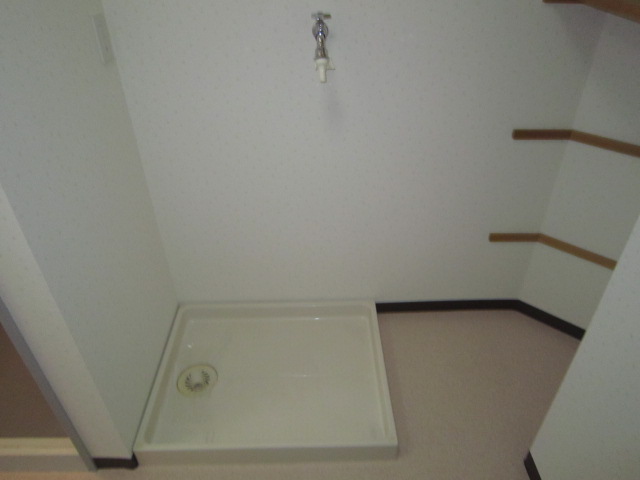 Washroom. Laundry Area