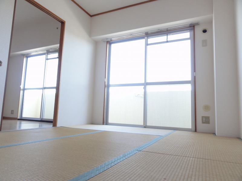 Living and room. Room (Japanese-style)